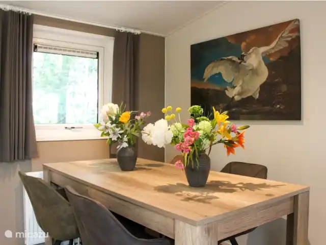 chalet huren in Nederland, Friesland, Oosterwolde – Vakantiehuis Fochteloërveen