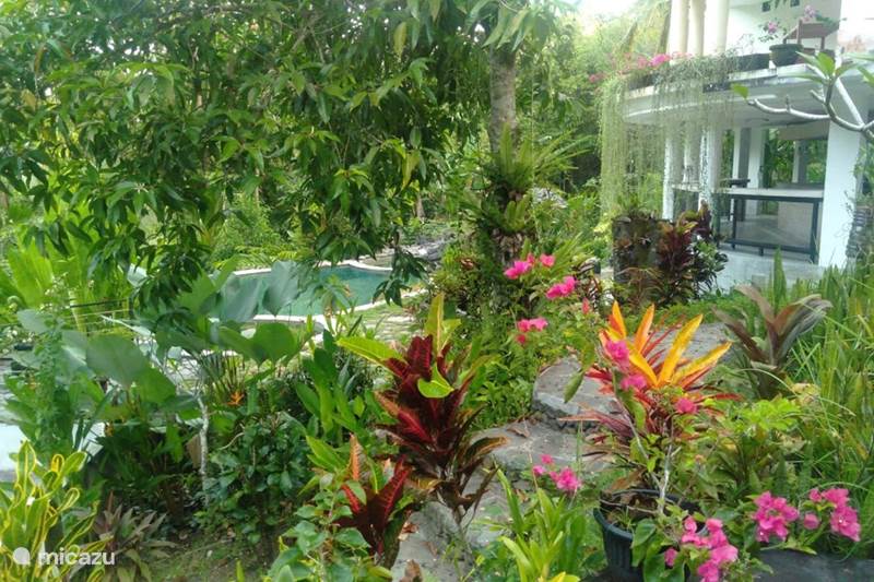 Vakantiehuis Indonesië, Bali, Lalanginggah Bungalow Balian Bliss Retreat Villa