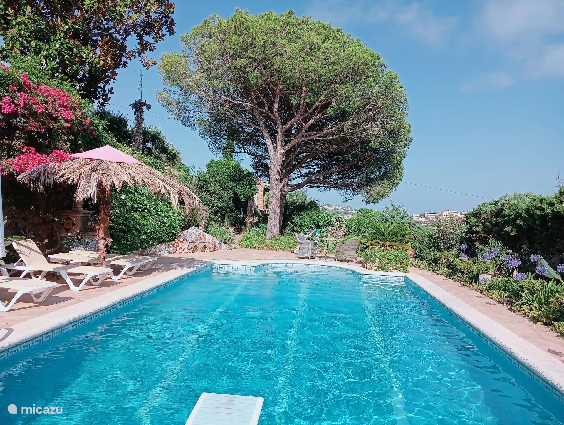 Lovely swimming pool with a springboard for children!