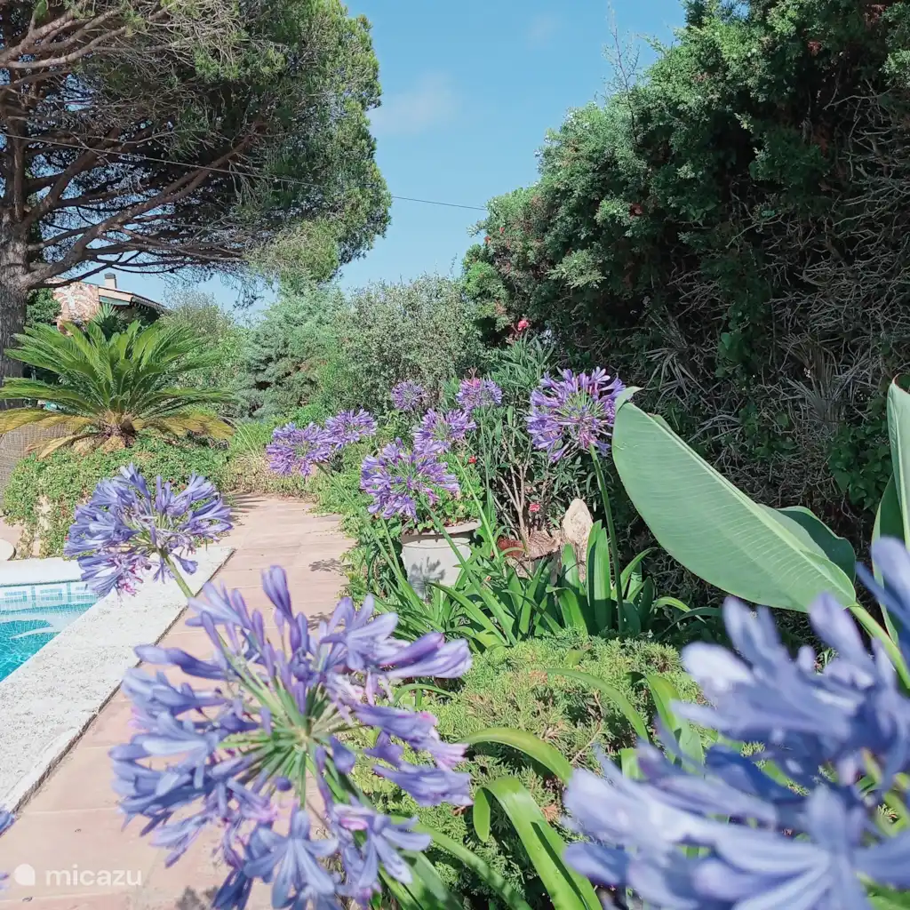 Villa Luna, foto 5