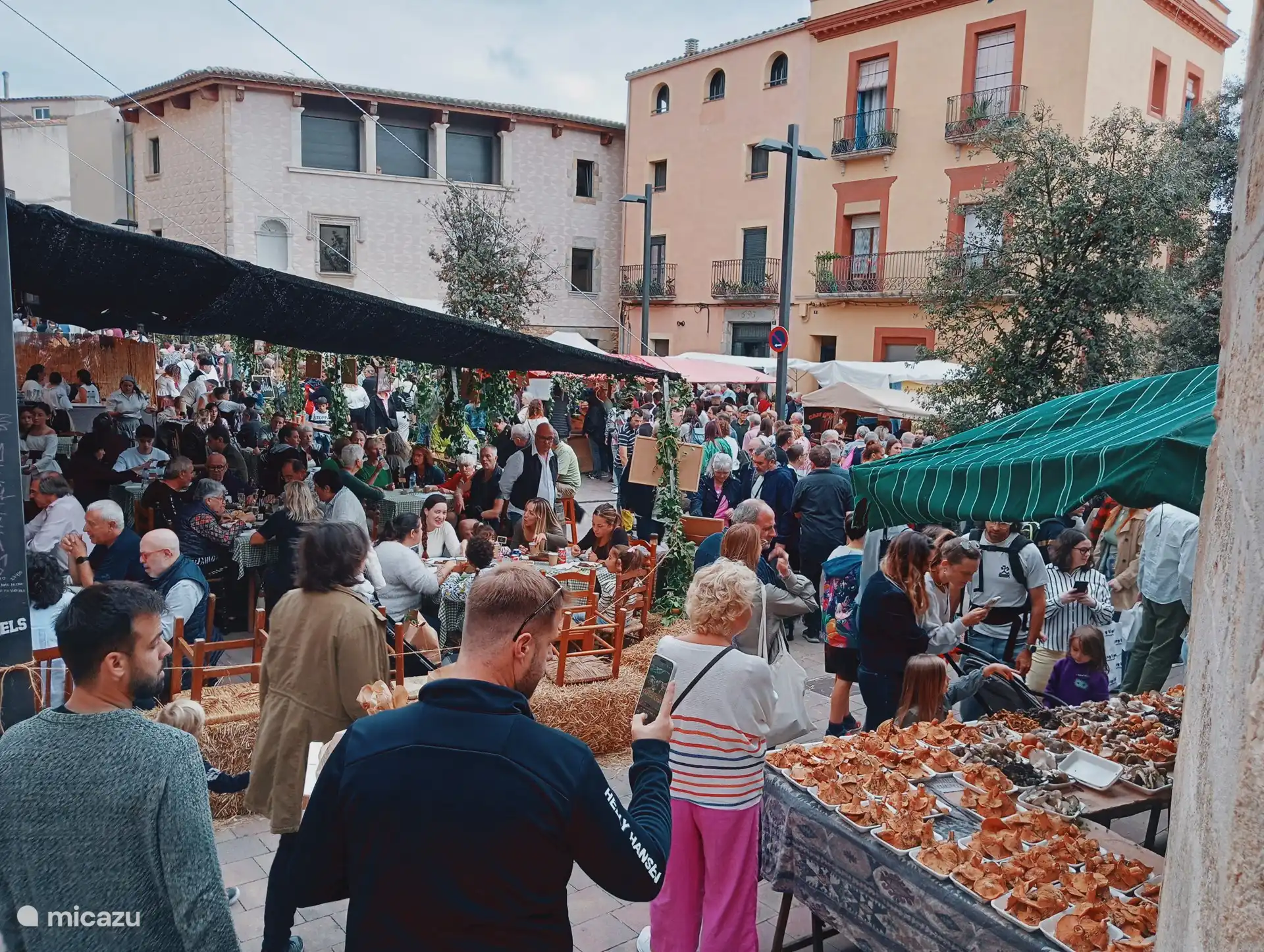 Markt für Llagostera-Pilze