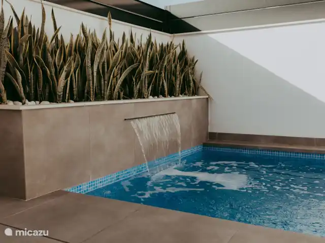 Villa Xantos huren in Spanje, Costa Blanca, Daya Vieja - villa Zwembad met fontein