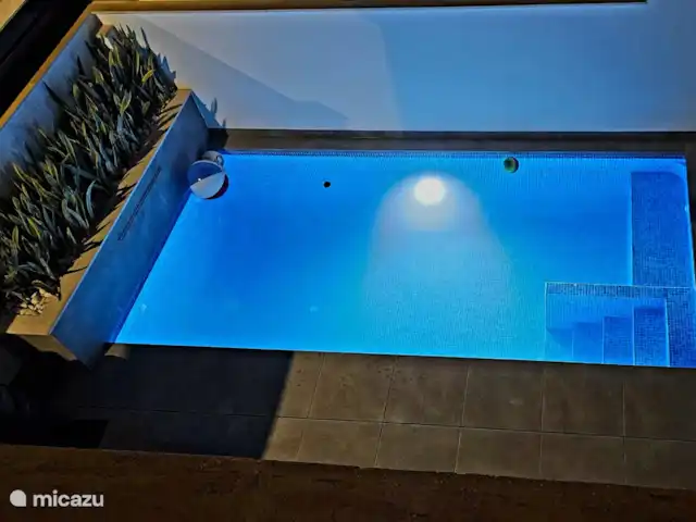 Villa Xantos huren in Spanje, Costa Blanca, Daya Vieja - villa Zwembadverlichting