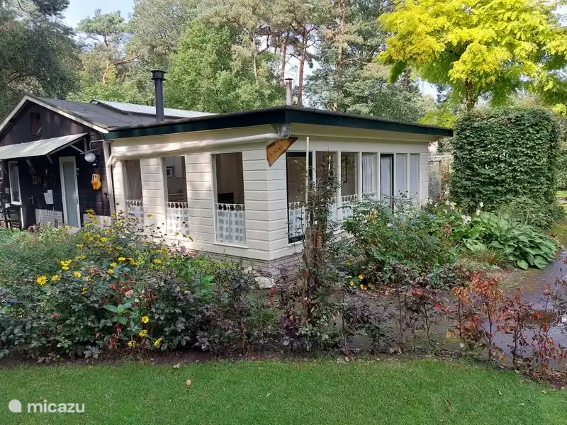 vakantiehuis huren in Achterhoek, Nederland – 't Hofke'