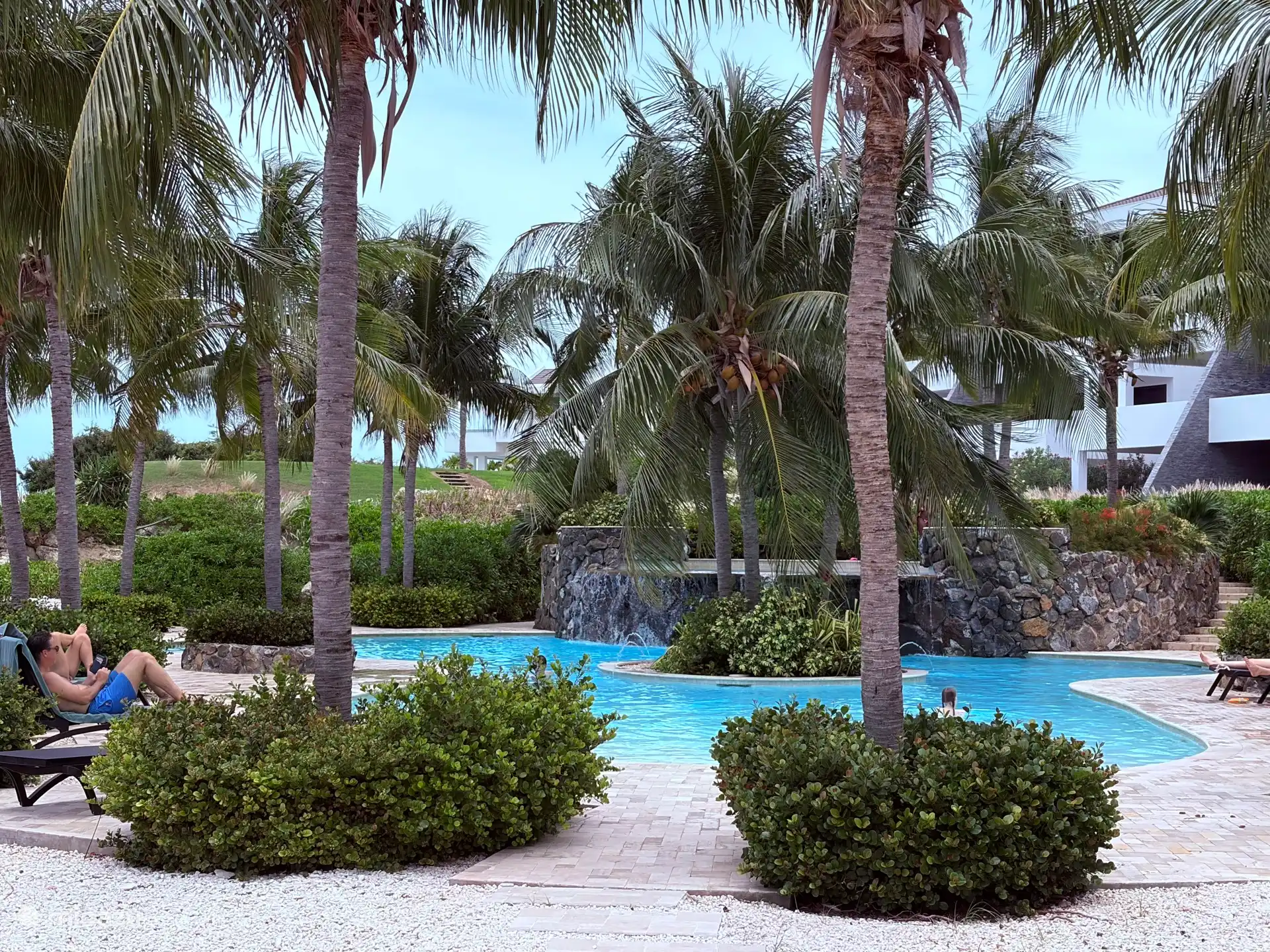 Relájate junto a la piscina a la sombra de las palmeras
