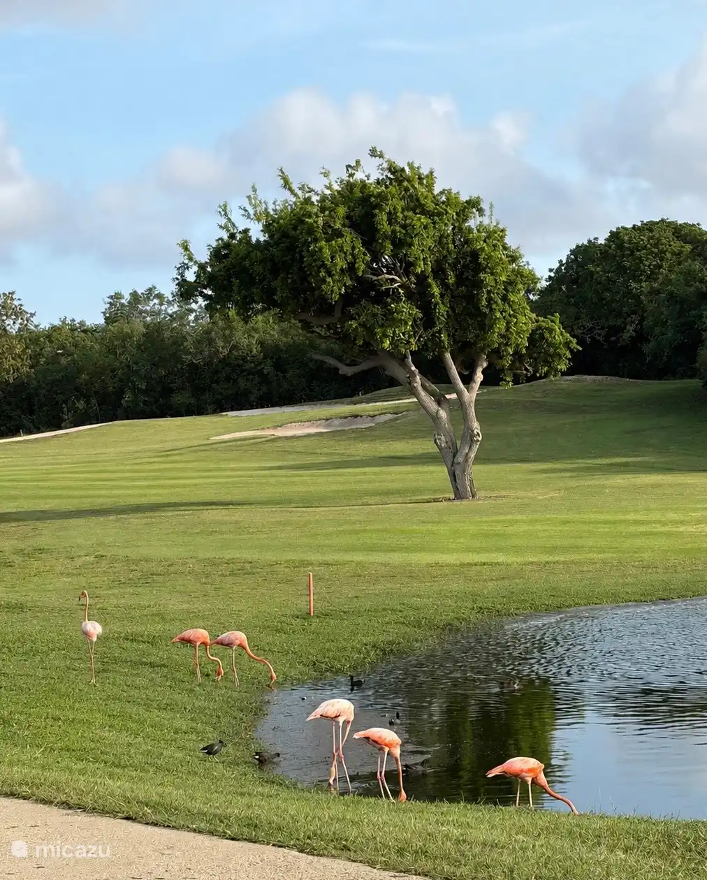 Campo de Golf del Hoyo 9