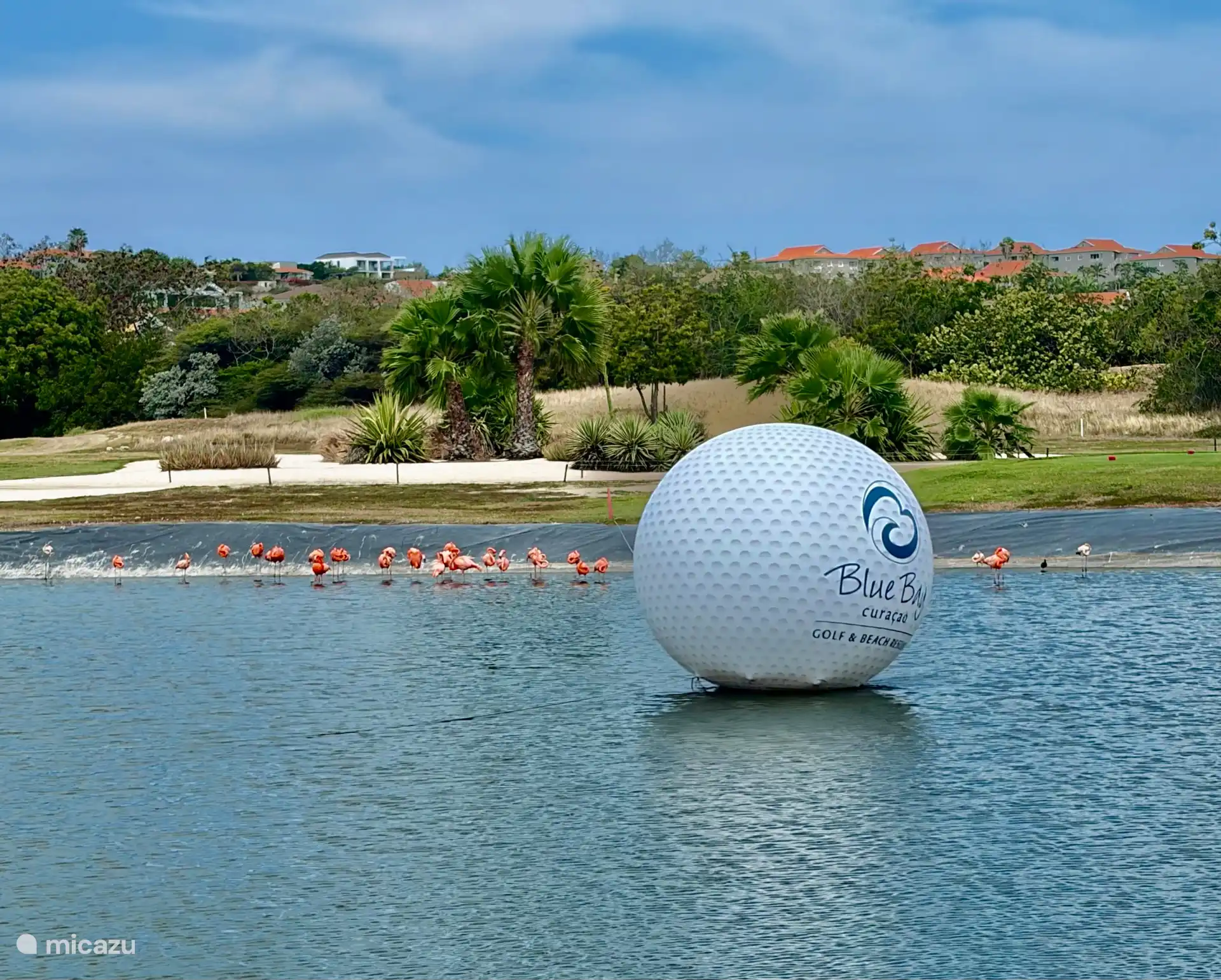 Campo de golf de 18 hoyos con flamencos