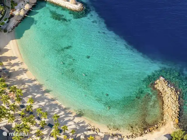 Blue Bay Penthouse REEF 5 OCEAN VIEW huren in Curaçao, Curacao-Midden, Willemstad - appartement Blue Bay Beach