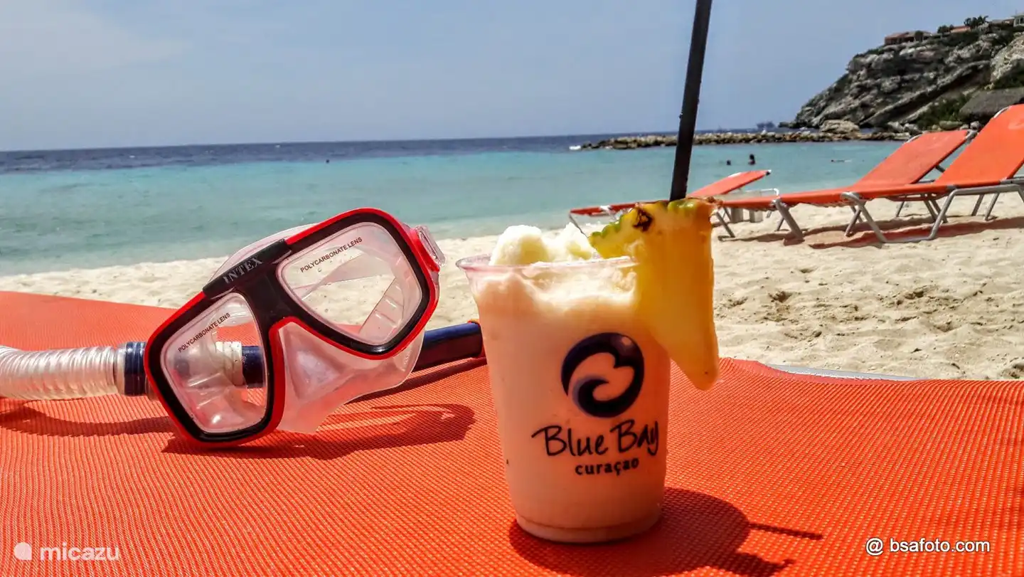 Genießen Sie Kaffee, Cocktail oder andere Getränke mit Service an Ihrer Liege. Schnorcheln ist ein Vergnügen in der Blue Bay