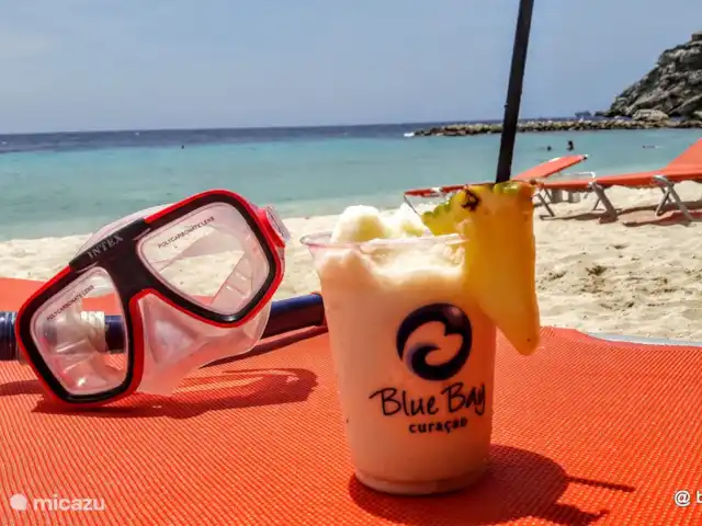 Blue Bay Penthouse REEF 5 OCEAN VIEW huren in Curaçao, Curacao-Midden, Willemstad - appartement Geniet van  koffie, cocktail of ander drankje met bediening aan uw ligbed. Snorkelen is een plezier op Blue Bay