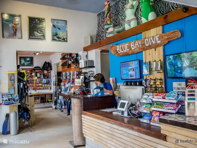 Blue Bay Penthouse REEF 5 OCEAN VIEW huren in Curaçao, Curacao-Midden, Willemstad - appartement Duikschool  en boetiek op Blue Bay beach