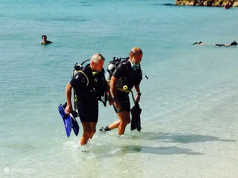 GROßARTIGES TAUCHEN IN DER BLUE BAY