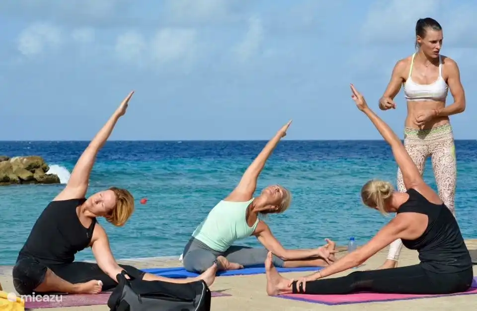 Blue Bay Fit-Zeitplan mit Yoga, Bootcamp und Body-Fit ist verfügbar