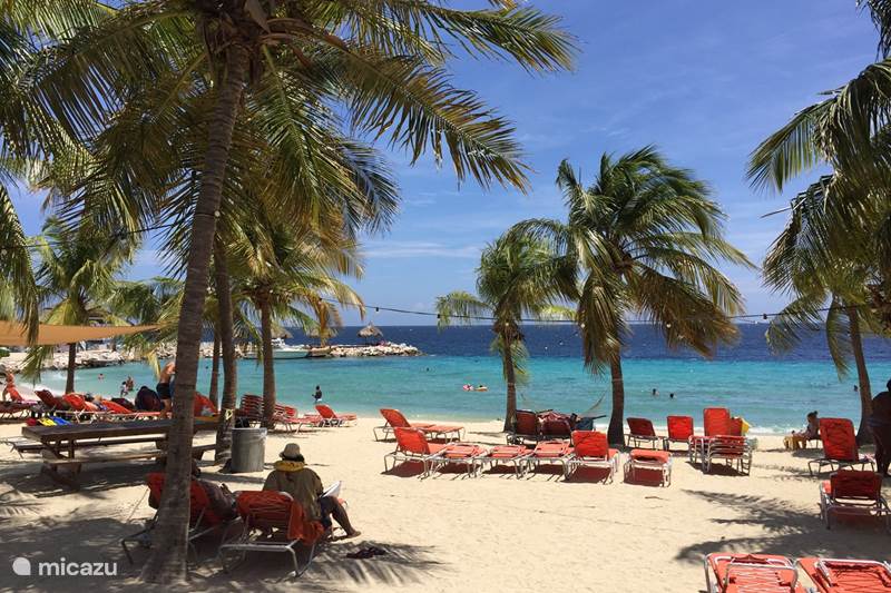 Vakantiehuis Curaçao, Curacao-Midden, Willemstad Penthouse Penthouse REEF 5 Blue Bay Beach Golf