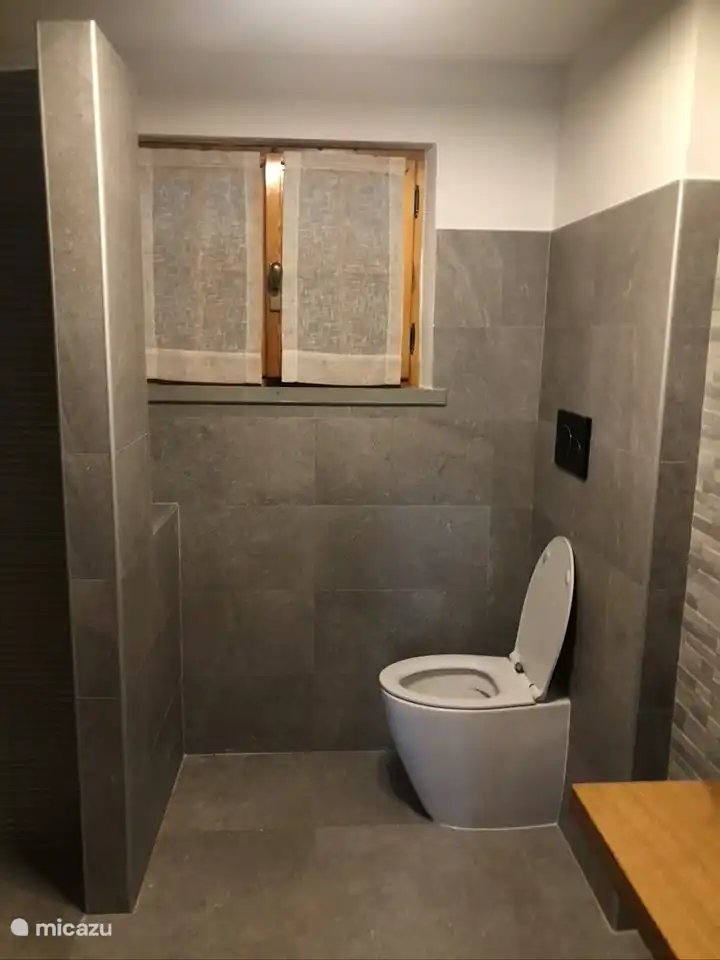 Badezimmer mit Dusche, WC und Waschbecken