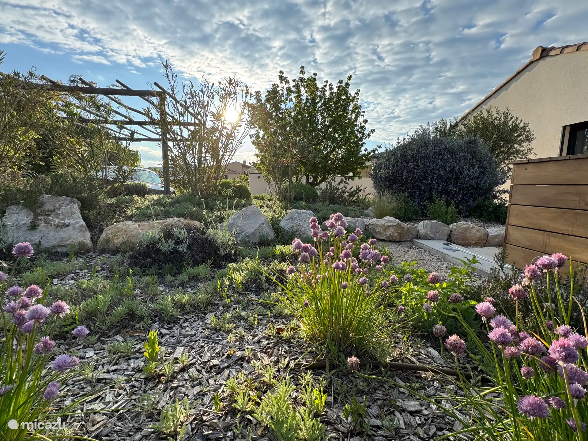 Wir lieben die provenzalischen Pflanzen