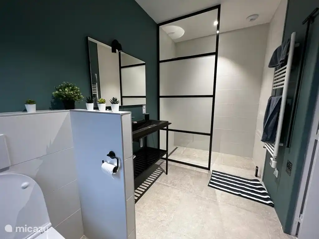 Das Badezimmer mit Handtuchwärmer, deckenhoher Duschwand und viel Platz