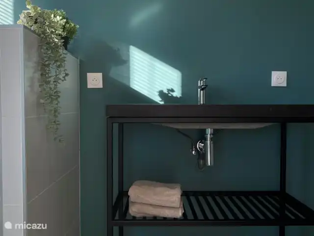 Maison Marasco huren in Frankrijk, Vaucluse, Blauvac - vakantiehuis Een grote en een kleine badkamer, beiden met dezelfde kleur accenten