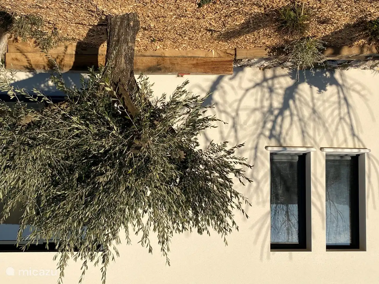 Der Garten mit Rasen, Holzterrasse neben dem Pool, Schatten von Oleandern, Kirsch- und Olivenbäumen und einem Kräutergarten
