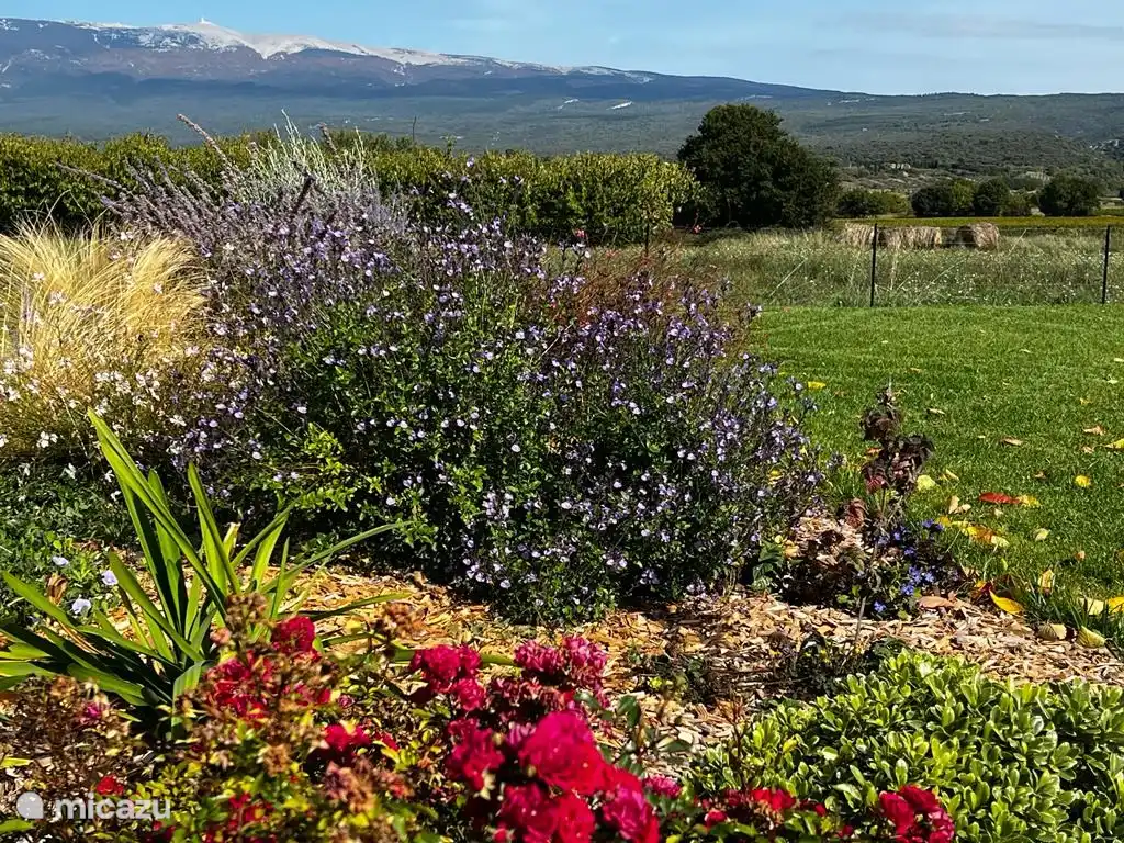 Zu jeder Jahreszeit unterschiedliche Pflanzenfarben