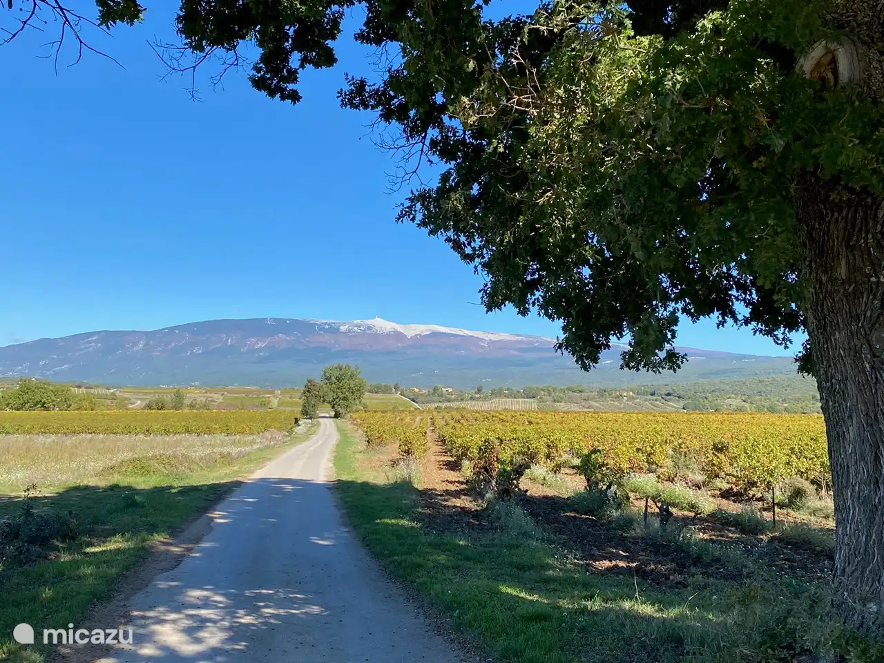 Radfahren ist vom Haus aus möglich, der Mont Ventoux ist überall sichtbar.