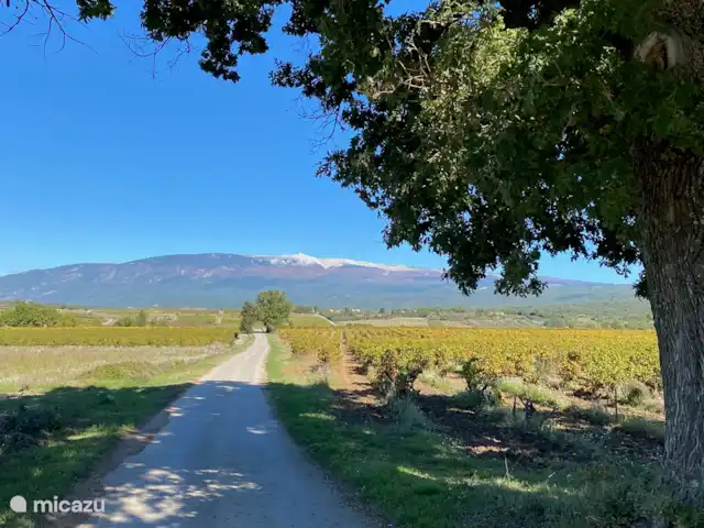Maison Marasco huren in Frankrijk, Vaucluse, Blauvac - vakantiehuis Fietsen kan vanaf het huis, de Mont Ventoux is overal zichtbaar.