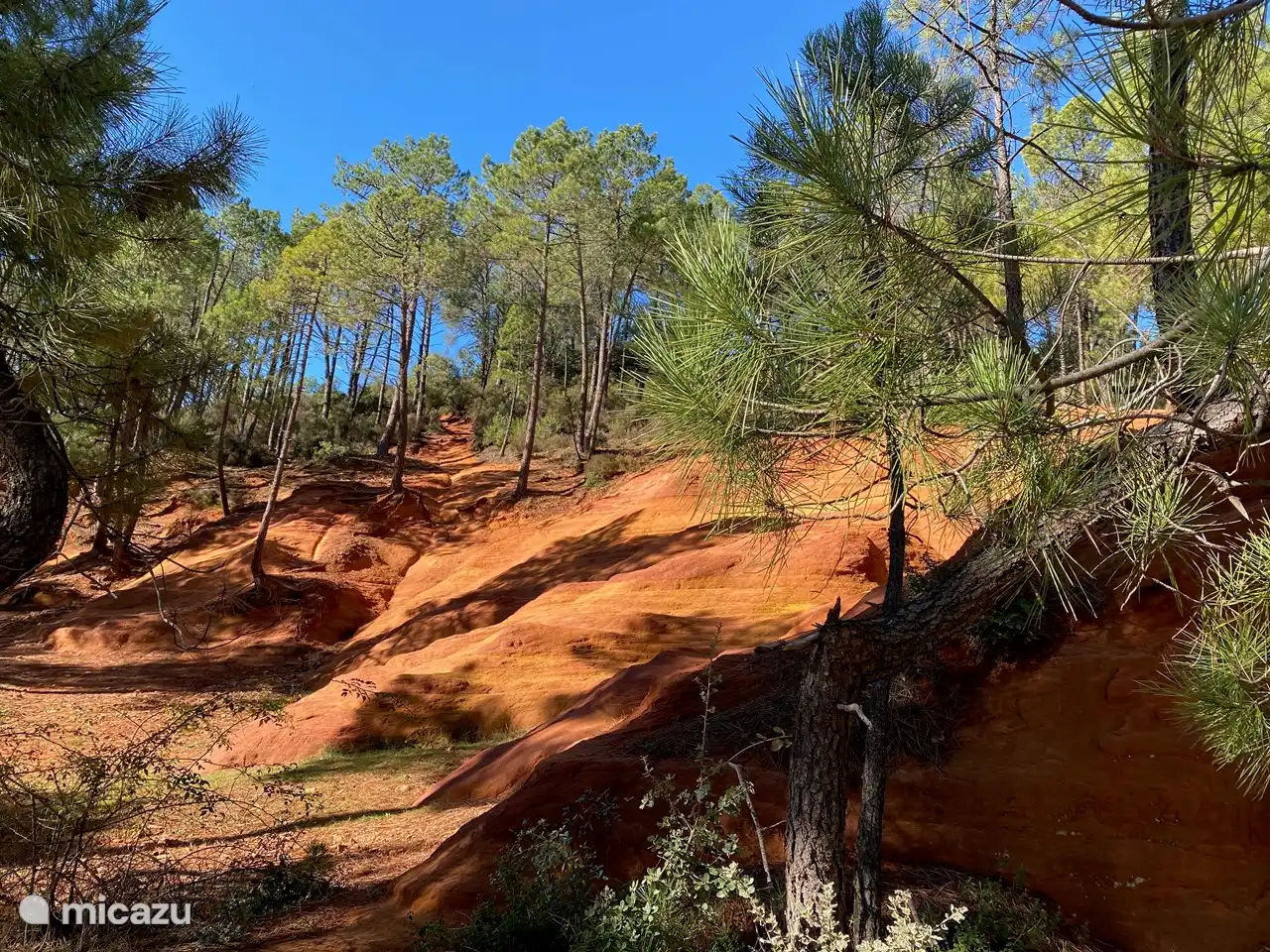 Die Gegend ist sehr abwechslungsreich, mit Feldern, Wäldern und Weinbergen.