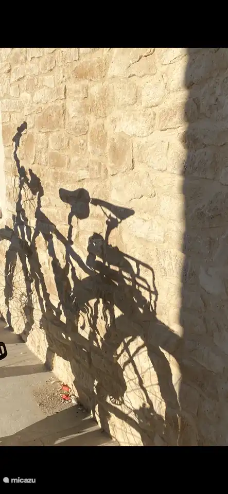 E-Bike, Touren oder Rennen: Das ist eine sehr sportliche Umgebung.