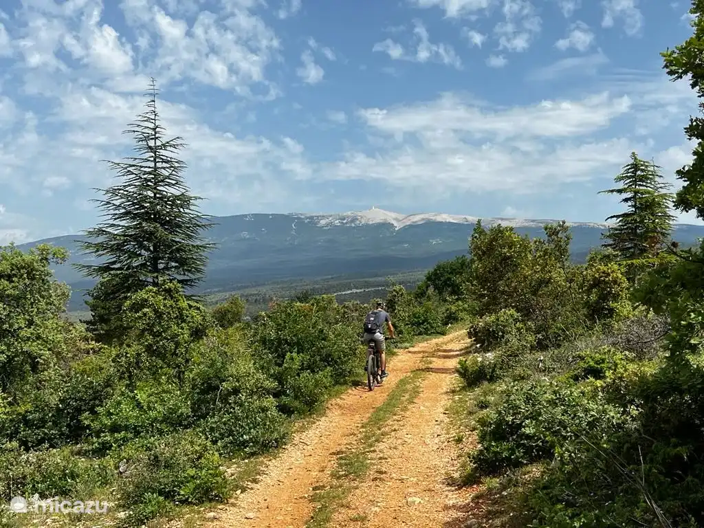 So schön Radfahren oder MTB in der Umgebung