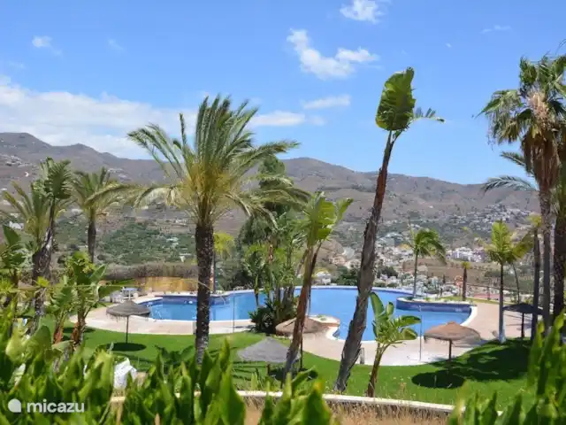 Location de Vacances Espagne, Costa Tropical, Almuñécar, maison de vacances - AlmunecarLocation Vacances: Palmeras Piscine à débordement : 3 minutes à pied
