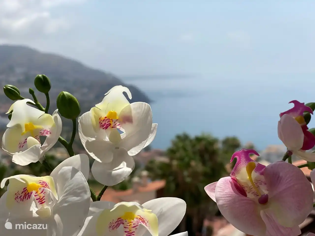 Blick von der Terrasse