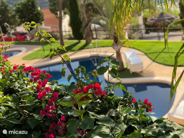 Location de Vacances Espagne, Costa Tropical, Almuñécar, maison de vacances - AlmunecarLocation Vacances: Palmeras piscine à 1 minute à pied