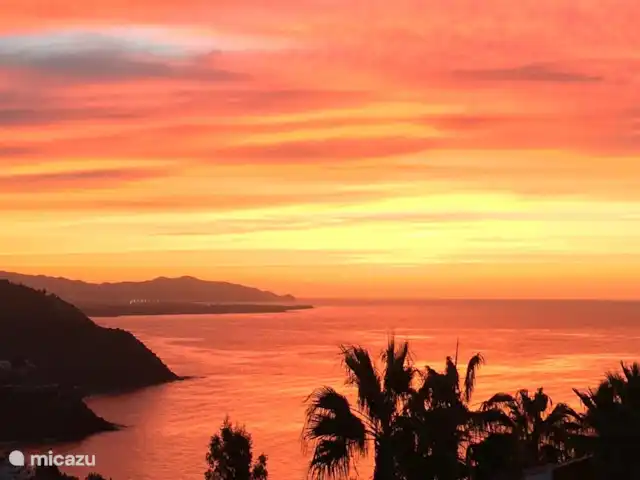 Location de Vacances Espagne, Costa Tropical, Almuñécar, maison de vacances - AlmunecarLocation Vacances: Palmeras