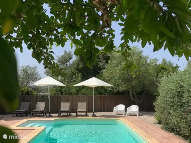 Location de Vacances Portugal, Algarve, Moncarapacho, maison de vacances - Casa Beliche Location de Vacances Portugal, Algarve, Moncarapacho, maison de vacances - Casa Beliche