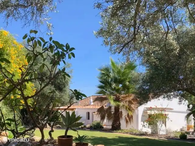 Location de Vacances Portugal, Algarve, Moncarapacho, maison de vacances - Casa Beliche Jardin