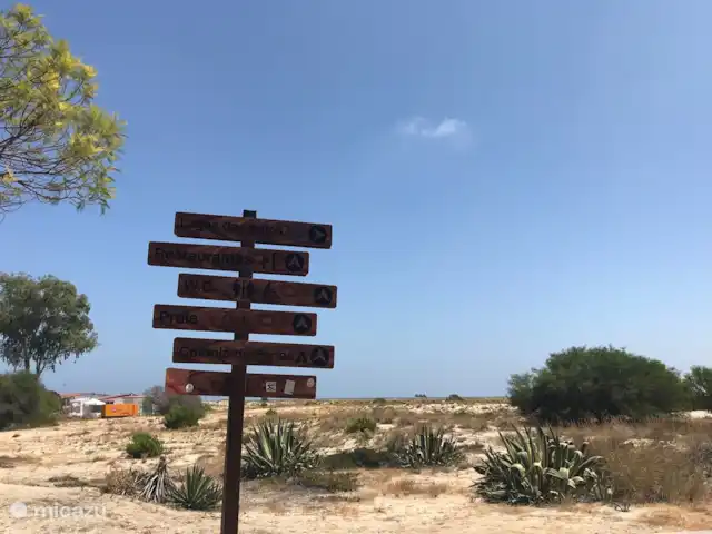 Location de Vacances Portugal, Algarve, Moncarapacho, maison de vacances - Casa Beliche