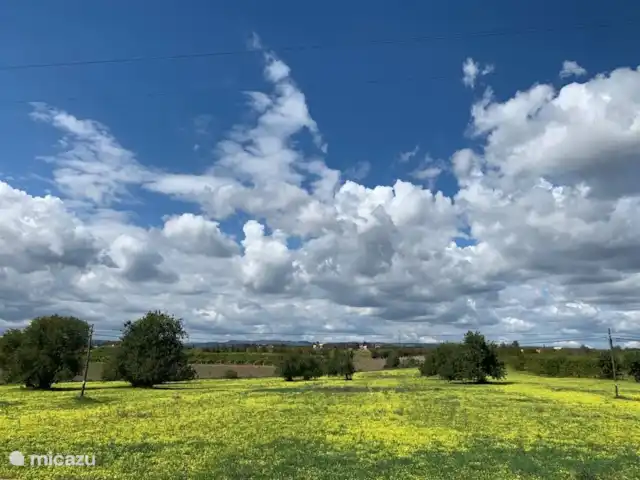 Location de Vacances Portugal, Algarve, Moncarapacho, maison de vacances - Casa Beliche
