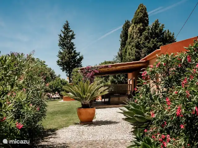 Quinta Monte Boi Terre Cuite | Portugal, Algarve, S.B. de Messines - villa