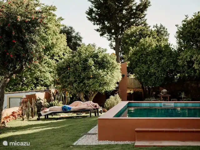 Quinta Monte Boi Terre Cuite | Portugal, Algarve, S.B. de Messines - villa