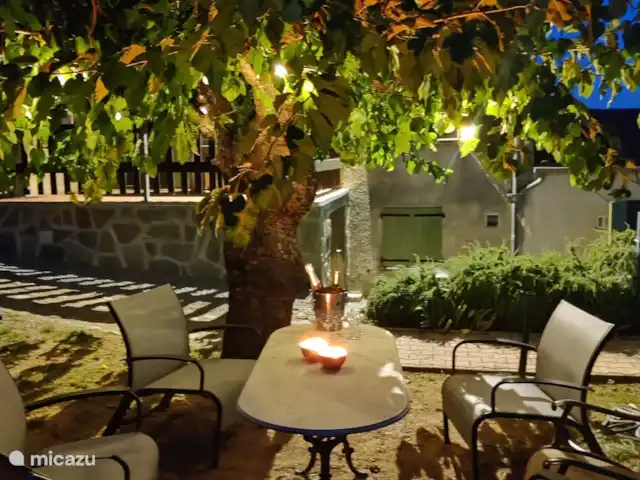 Le Vignal 1 huren in Frankrijk, Ardèche, Chambonas - vakantiehuis Schaduwterras naast het zwembad