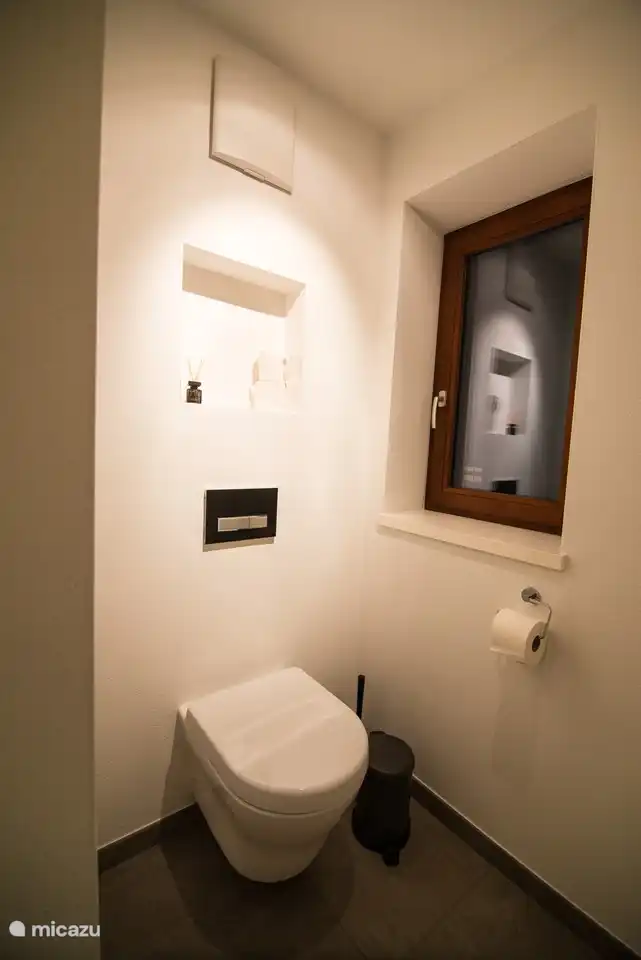 Toilet Bathroom1