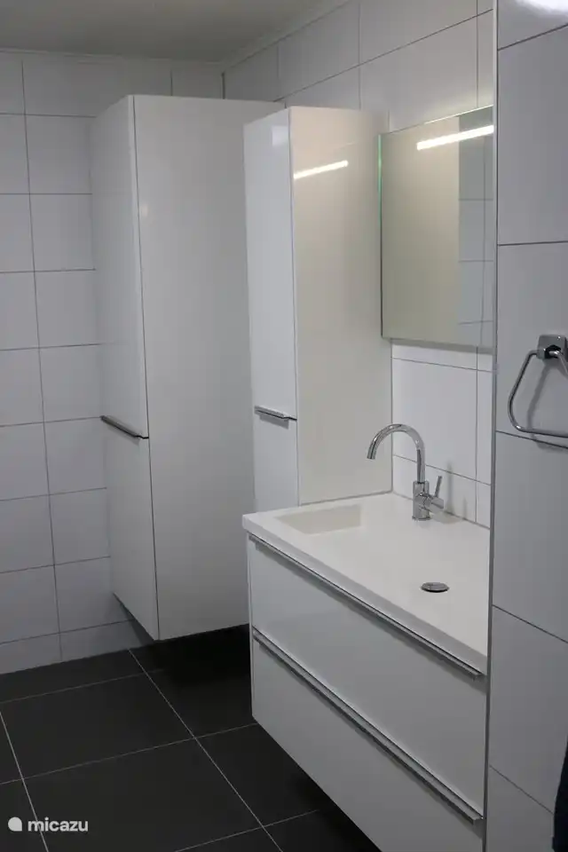 Pièce du bas derrière la chambre principale