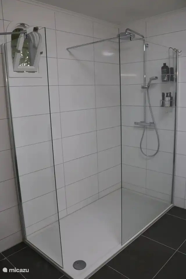Douche à l'italienne