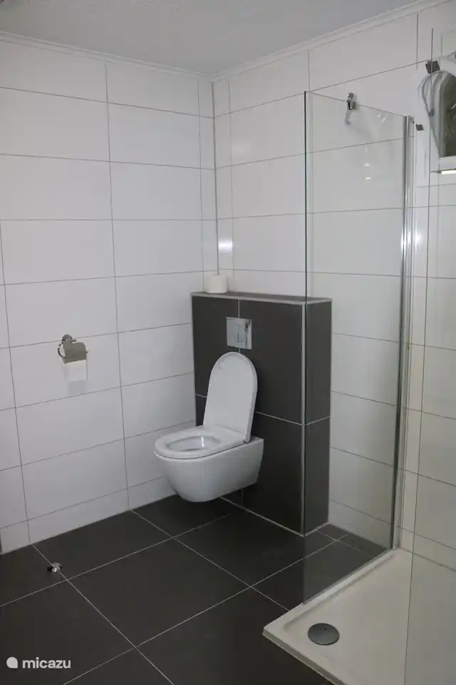 WC dans la salle de bain 1