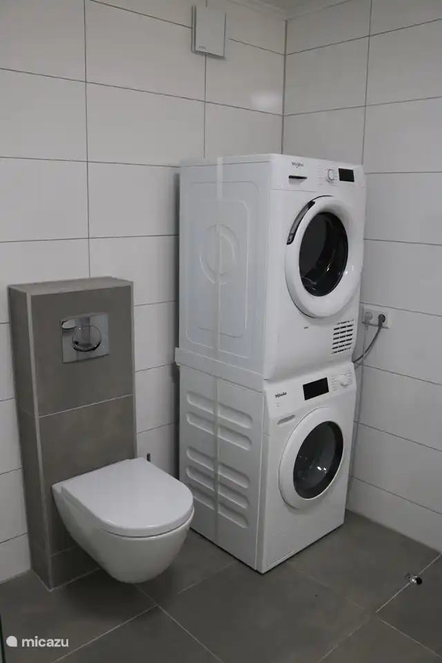 Lave-linge, sèche-linge et toilettes dans la salle de bain II