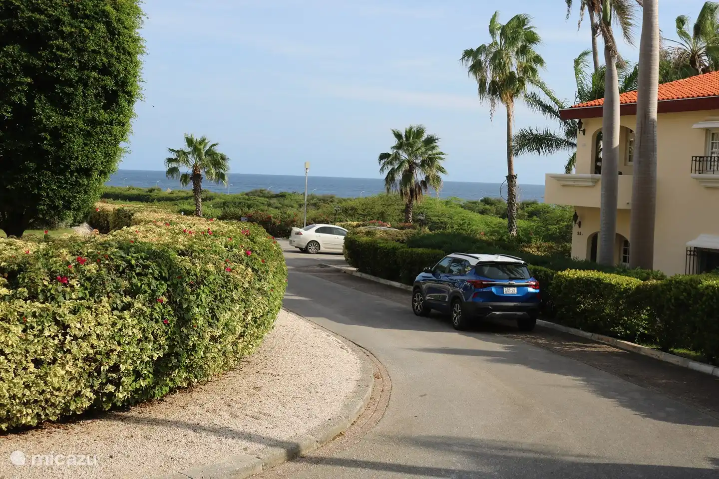 Vue depuis la terrasse