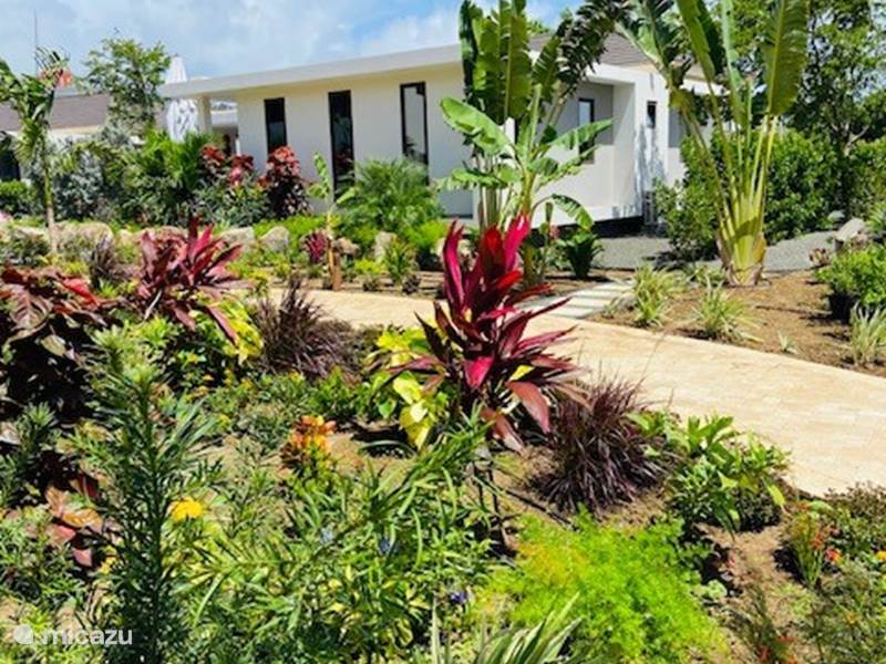 Ferienwohnung Curaçao, Banda Ariba (Ost), Jan Sofat Villa Villa 1 LUX