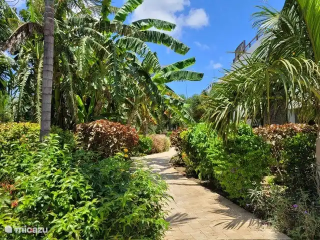 LUX The Grand huren in Curaçao, Banda Ariba (oost), Jan Sofat - appartement Prachtige tuin