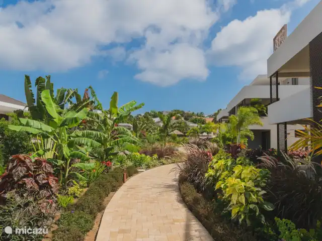 LUX The Grand huren in Curaçao, Banda Ariba (oost), Jan Sofat - appartement Prachtig aangelegde tuin