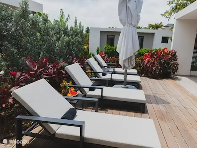 Location de Vacances Curaçao, Banda Ariba (est), Jan Sofat, villa - Villa Blenchi LUX Jan Sofat Chaises longues luxueuses dans le jardin.